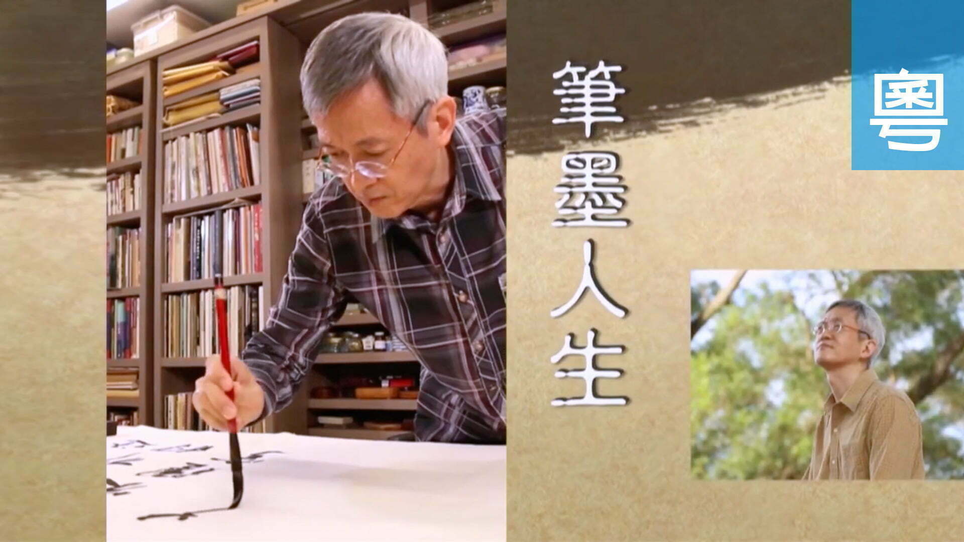 電視 唐錦騰 (筆墨人生)